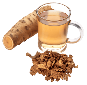 Burdock Root isolated, Arctium Clipart, Fresh Burdock tea illustration png