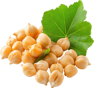 Chickpea isolated, Legume Clipart, Bunch of chickpeas illustration png
