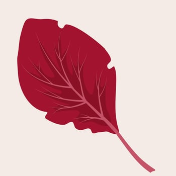 Autumn leaf. Decorative autumn foliage. Template for illustrations. vector