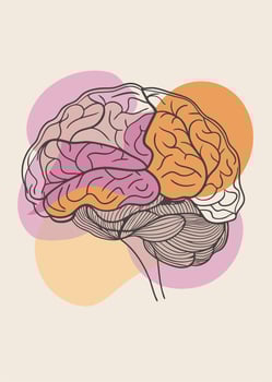 Human brain drawing Abstract minimal continuous line wall decor vector