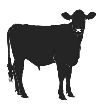 Cow silhouette Arabian pattern set against transparent background png
