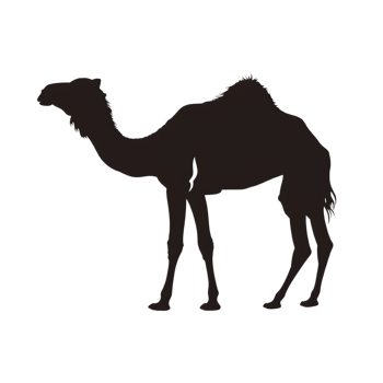 Camel silhouette Arabian pattern set against transparent background png
