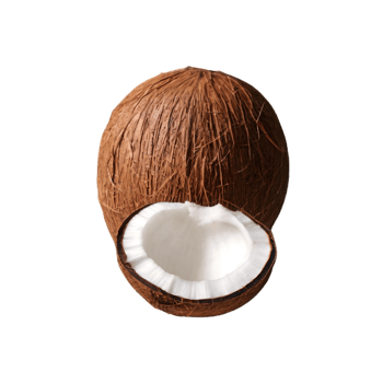 Whole and halved coconut fruit isolated on transparent background png