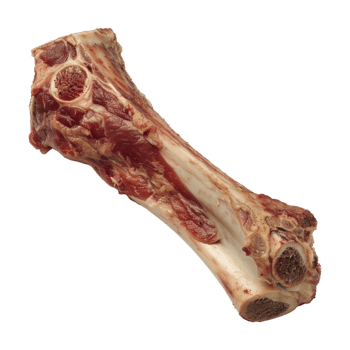 Bone with Meat on Transparent Background png