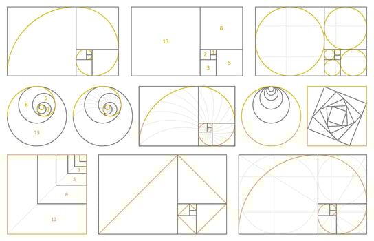 Golden section, fibonacci numbers, ideal proportions ratio. Geometry harmony gold fibonacci spiral ratio, illustration set. Spiral proportion elements vector