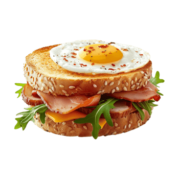 Egg Burger on Transparent Background png