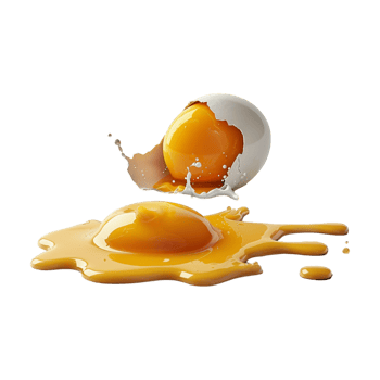 Egg with Shell on Transparent Background png