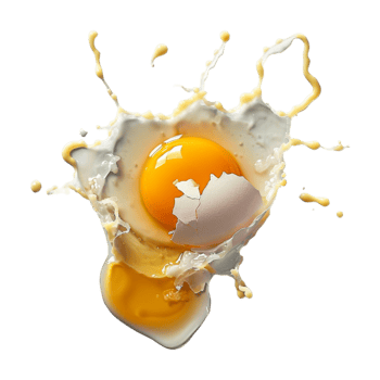 Egg with Shell on Transparent Background png