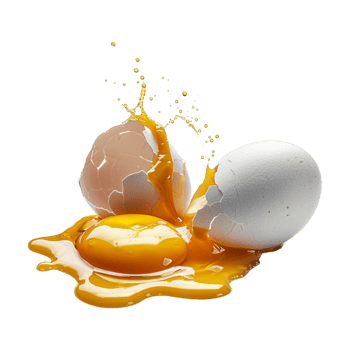 Egg with Shell on Transparent Background png