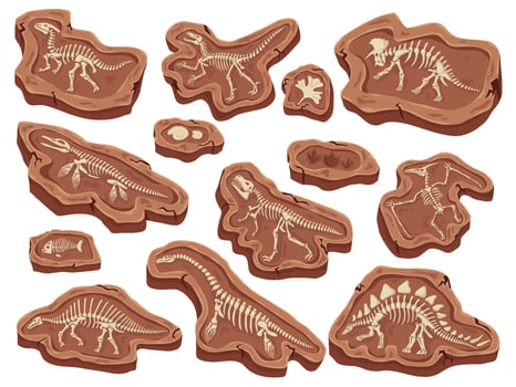 Cartoon fossils. Dinosaurs fossilization, ancient fish bones and ammonite shell. Paleontology digging, animal skeleton museum illustration vector