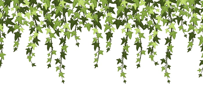 Green ivy plant branches background. Hanging vine with leaves, floral botanical backdrop cartoon illustration vector