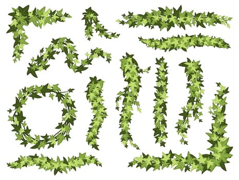 Cartoon green ivy. Creeper tree foliage border, garden decoration divider and hanging vine plant branches set vector