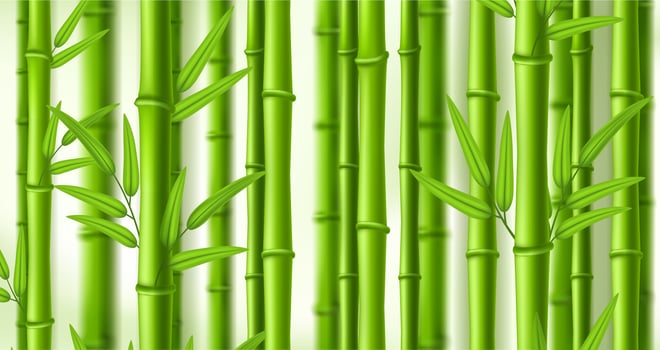 Bamboo background. Lush bamboo zen grove, natural green stems wall with leaves illustration backdrop vector