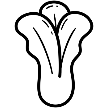 Pak choy doodle png
