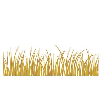 Grass with flower vector