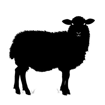 Sheep silhouette Arabian pattern set against transparent background png
