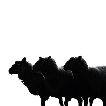 Sheep silhouette Arabian pattern set against transparent background png