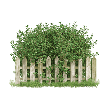 Wooden Fence with Grass on Transparent Background png