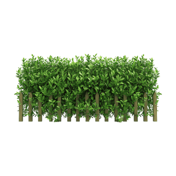 Wooden Fence with Grass on Transparent Background png