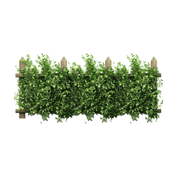 Wooden Fence with Grass on Transparent Background png