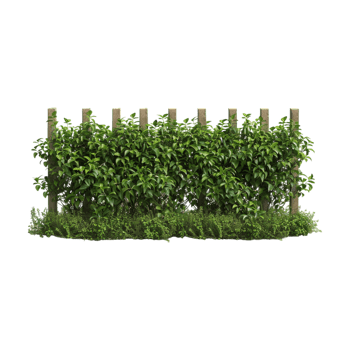 Wooden Fence with Grass on Transparent Background png