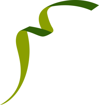 BRAZIL INDEPENDENCE DAY png
