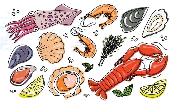 Seafood sketch. Hand drawn food. Delicious seafood. Sea cuisine. vector