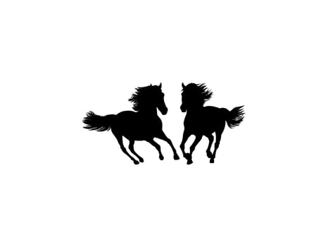 Pair Horse Silhouette, can use for Logo Gram, Art Illustration, Emblem, Pictogram, Apps, Website, etc. Black White vector