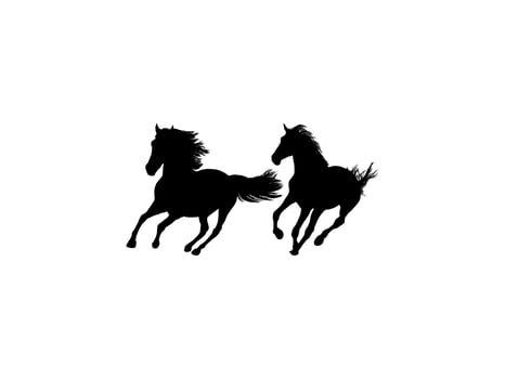 Pair Horse Silhouette, flat style, can use for Logo Gram, Art Illustration, Emblem, Pictogram, Apps, Website, etc. vector