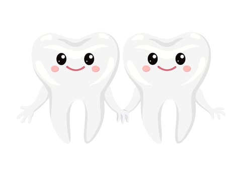Two cute teeth holding hands. Each tooth has large eyes, rosy cheeks, and a cheerful smile, giving them a friendly appearance. For promoting oral hygiene and attracting children to dental care. vector