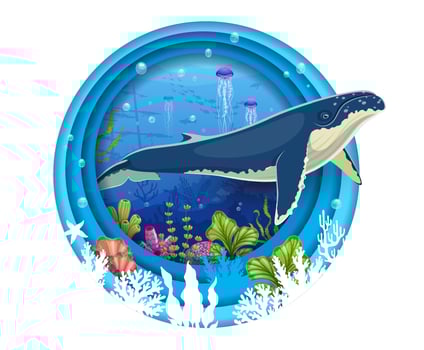 Cartoon sperm whale at underwater landscape frame vector