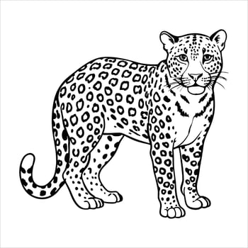 A Leopard Art Illustration vector