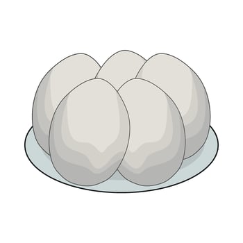 illustration of boiled egg vector