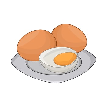 illustration of boiled egg vector