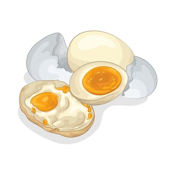Illustration of fried egg and boiled egg vector