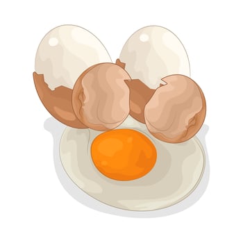 Illustration of egg vector