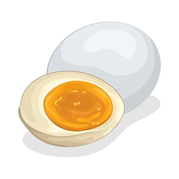 Illustration of boiled egg vector