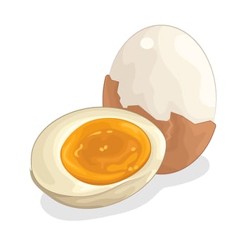 Illustration of boiled egg vector