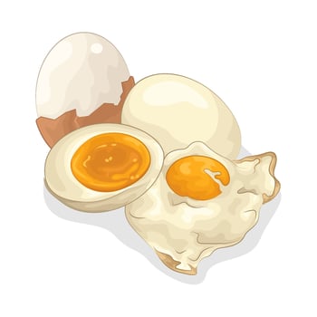 Illustration of boiled egg vector