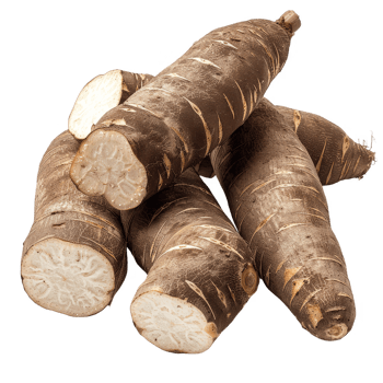 cassava transparent background png