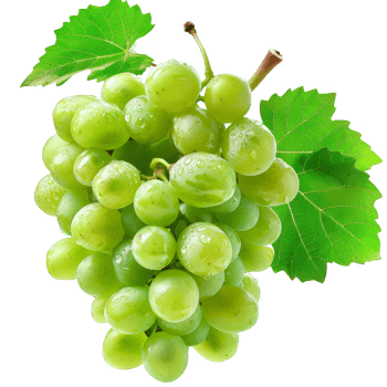 green grapes transparent background png