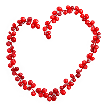 Barberries bright red small and elongated evenly distributed in a heart shape Food and culinary png