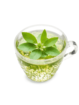 Chickweed tea clear glass cup dainty leaves and flowers light green cooling png