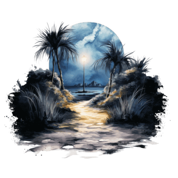 A Nighttime Path Through Palm Trees and Moonlight png