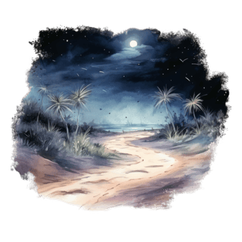 A Nighttime Beach Scene With Palm Trees And A Full Moon png