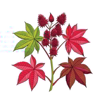 Creative Botanical set with flowers Design. vector