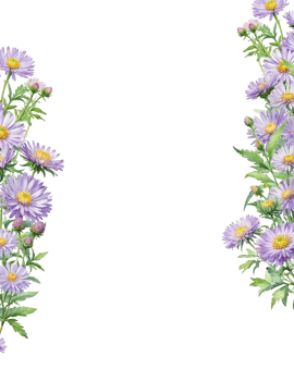 Floral blossom border decoration png