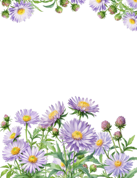 Flowers bloom frame, invitation card decoration with flowers png