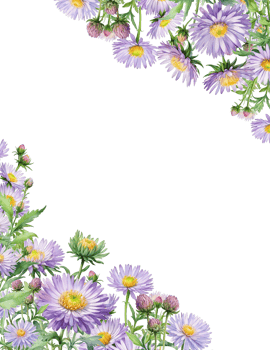 watercolor purple flower frame png