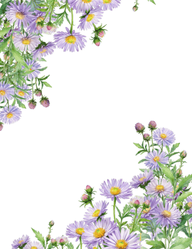 flowers arrangement frame png